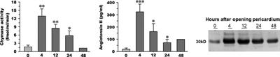 Impact of early pericardial fluid chymase activation after cardiac surgery